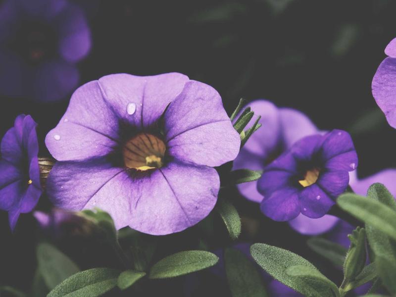 sudoku tips screenshot 1