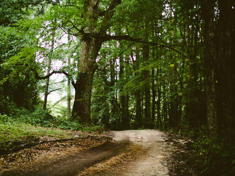 sudoku tips screenshot 4